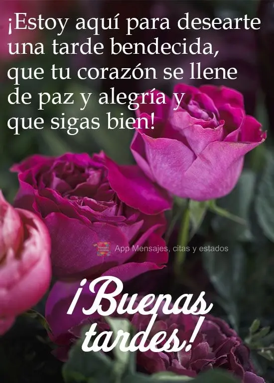 Estou aqui para desejar uma tarde abençoada, que seu coração se encha de paz e alegrias e você siga bem!  
 Boa tarde!