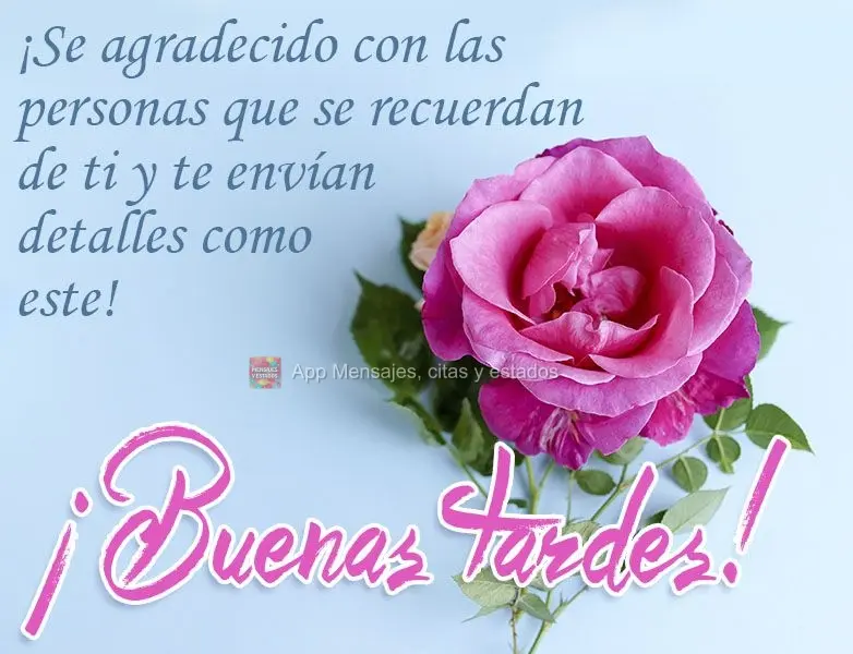 ¡Se agradecido con las personas que se recuerdan de ti y te envían detalles como este! ¡Buenas tardes!