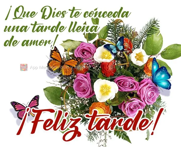¡Que Dios te conceda una tarde llena de amor! ¡Feliz tarde!