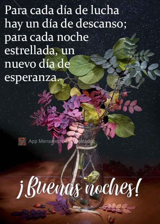 Para cada dia de luta uma noite de descanso; para cada noite estrelada um novo dia de esperança! 
 Boa noite!