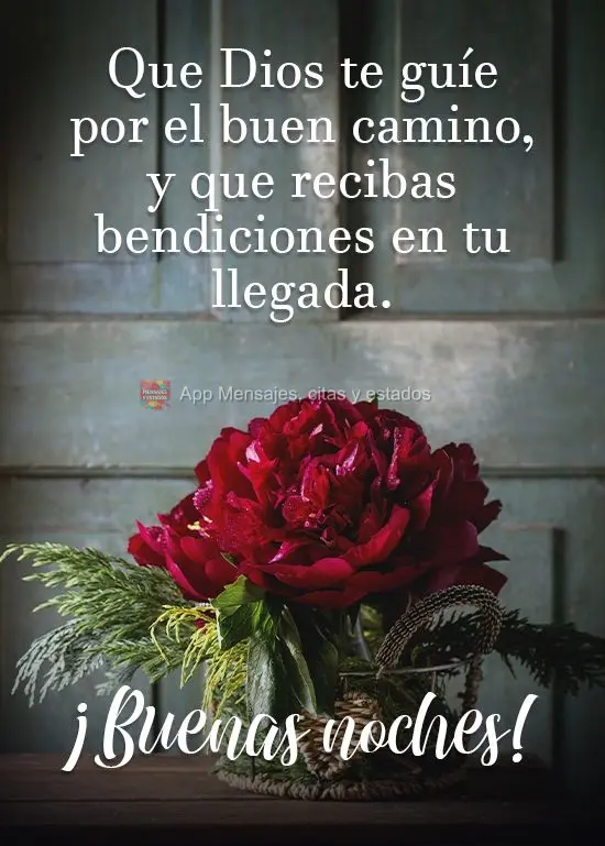 Que Deus te guie pelos caminhos certos e que você seja abençoado na chegada!  Boa noite!