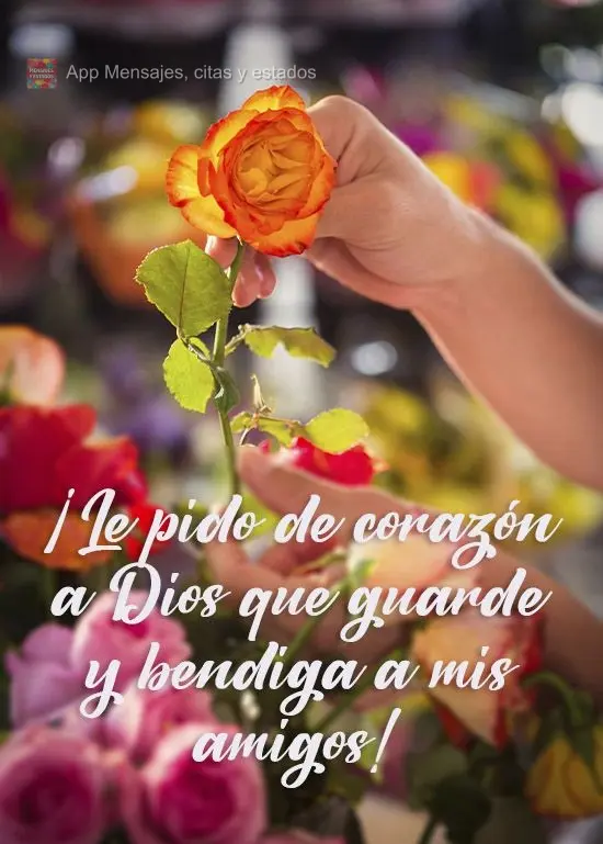 ¡Le pido de corazón a Dios que guarde y bendiga a mis amigos!