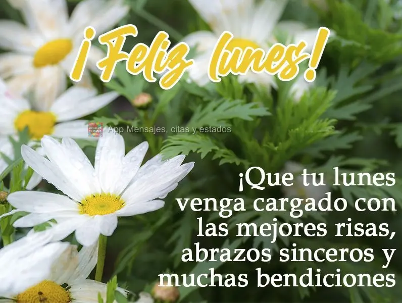 ¡Que tu lunes venga cargado con las mejores risas, abrazos sinceros y muchas bendiciones de Dios! ¡Feliz lunes!