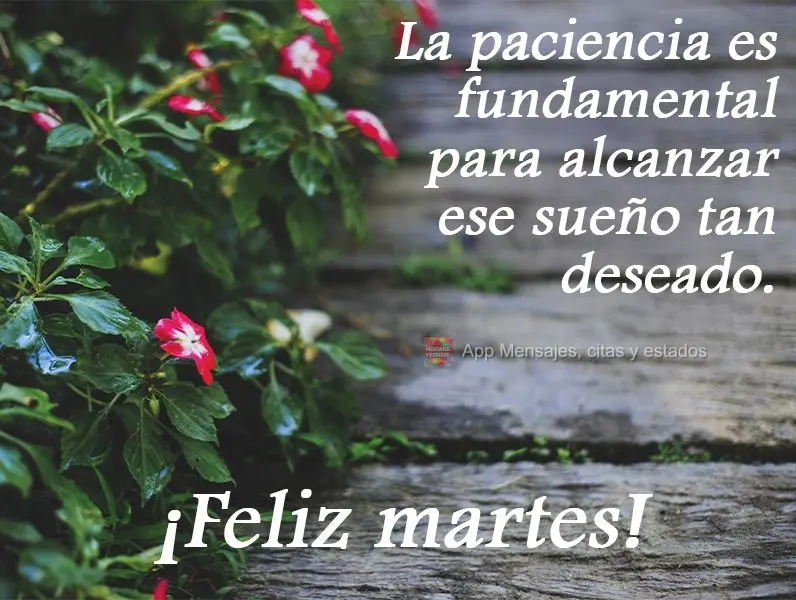 La paciencia es fundamental para alcanzar ese sueño tan deseado. ¡Feliz miércoles!