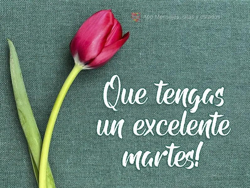 Tenha uma excelente Terça-feira!
