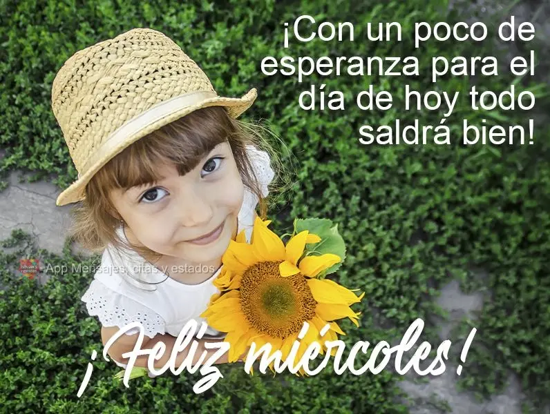 Um pouco de esperança para o dia de hoje e tudo dará certo!
  Boa Quarta-feira!