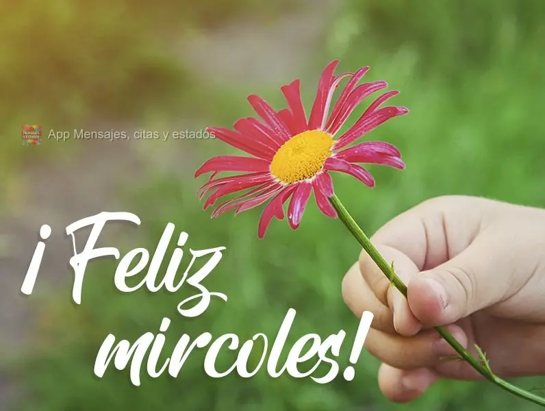 ¡Feliz miércoles!