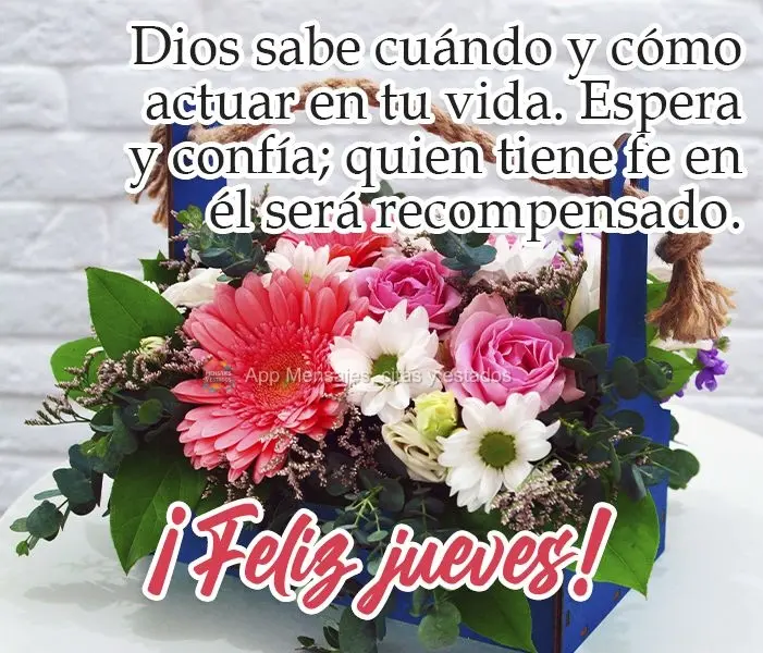 Dios sabe cuándo y cómo actuar en tu vida. Espera y confía; quien tiene fe en él será recompensado. ¡Feliz jueves!