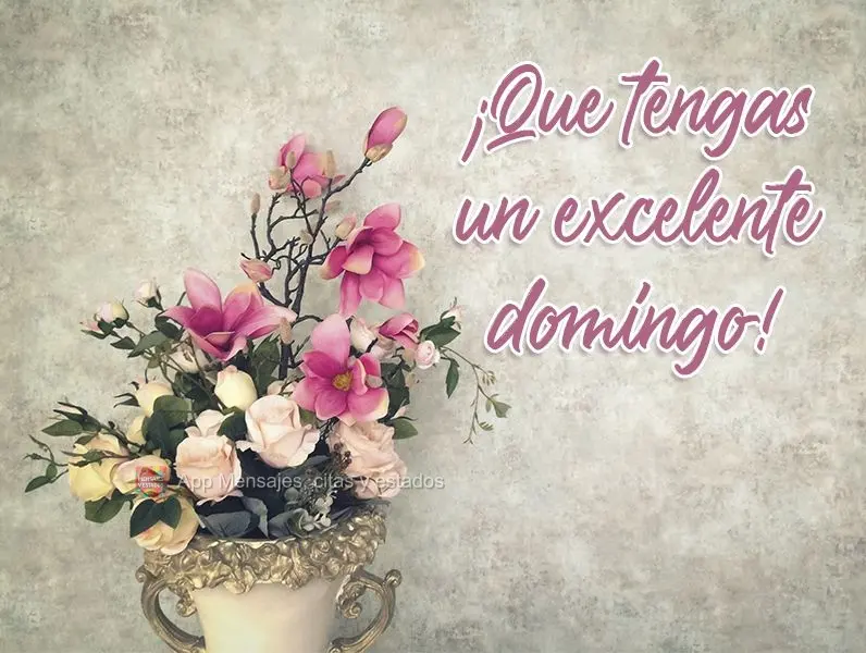 Tenha um ótimo Domingo!
