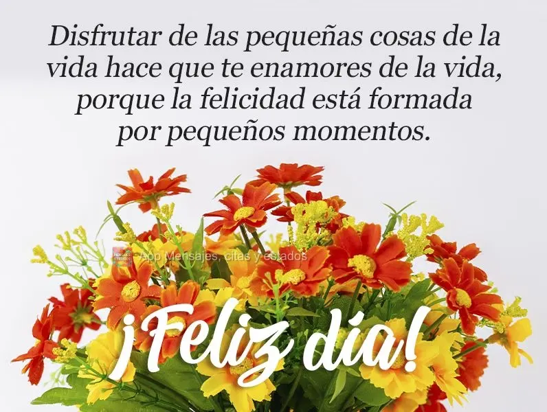 Disfrutar de las pequeñas cosas de la vida hace que te enamores de la vida, porque la felicidad está formada por pequeños momentos. ¡Feliz día!