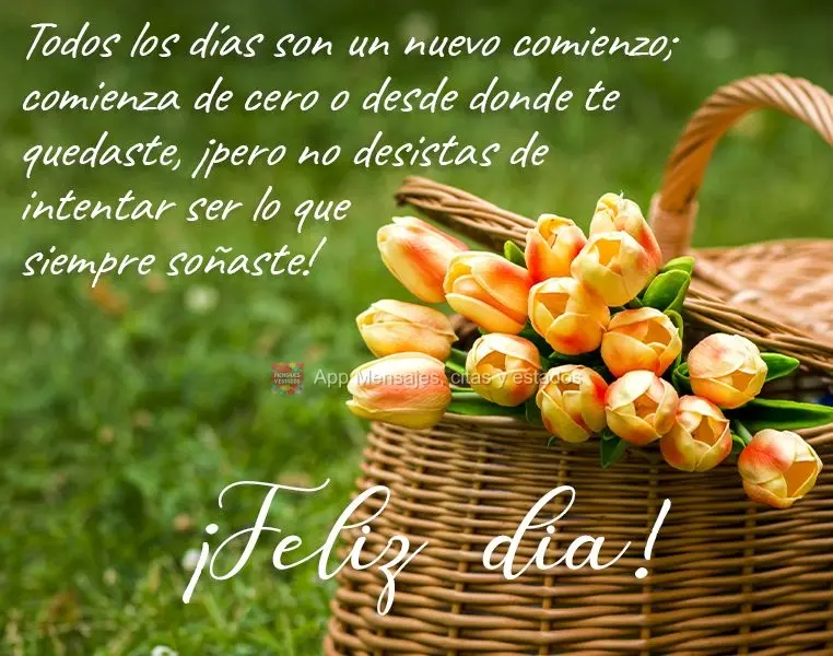 Todos os dias são para recomeçar. Comece do zero ou de onde parou, mas não desista de ser aquilo que você sempre sonhou! 
 Bom dia!