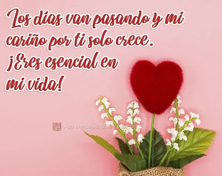 Los días van pasando y mi cariño por ti solo crece. ¡Eres esencial en mi vida!