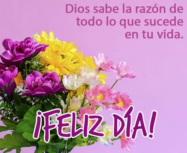 Dios sabe la razón de todo lo que sucede en tu vida. ¡Feliz día!