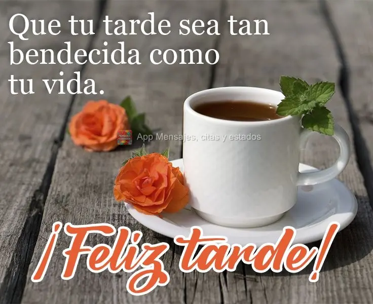 Que tu tarde sea tan bendecida como tu vida. ¡Feliz tarde!