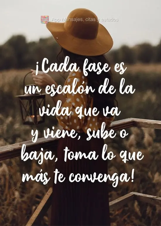 Cada fase é um degrau da vida que vai e vem. Subindo ou descendo agarre o que lhe convém! 
