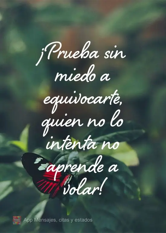 Tente sem medo de errar, quem não tenta não aprende a voar!
