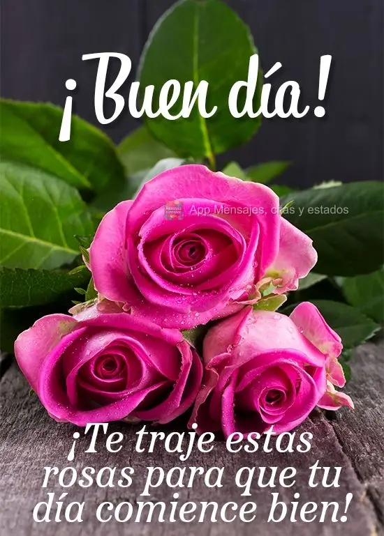 Para que seu dia comece bem trouxe essas lindas rosas para você! 
 Bom dia!