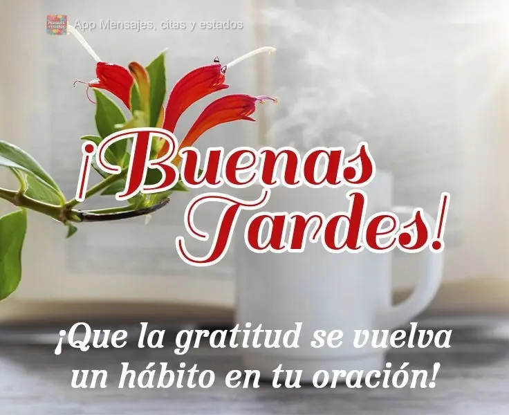 ¡Que la gratitud se vuelva un hábito en tu oración! ¡Buenas tardes!