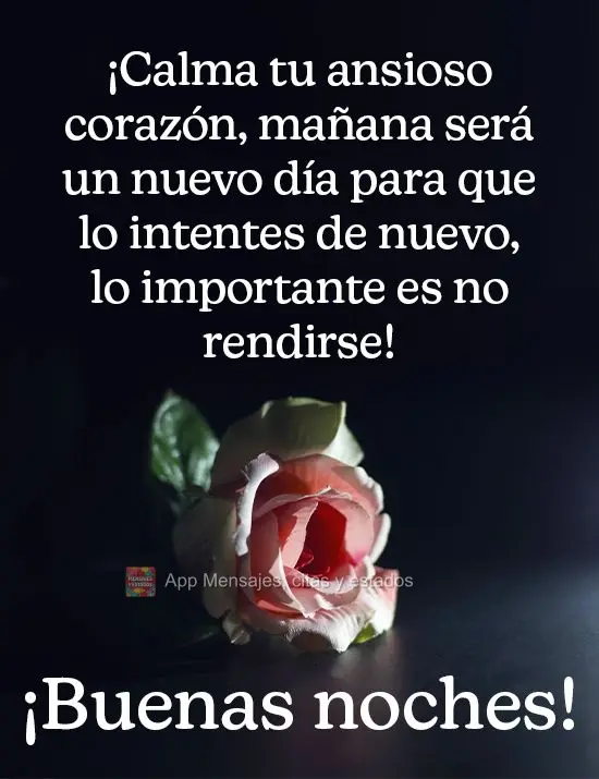 Acalma teu coração ansioso, amanhã será um novo dia para você tentar de novo, o importante é não desistir! 
 Boa noite!