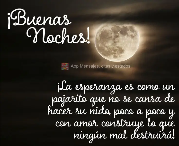 ¡La esperanza es como un pajarito que no se cansa de hacer su nido, poco a poco y con amor construye lo que ningún mal destruirá! ¡Buenas noches!