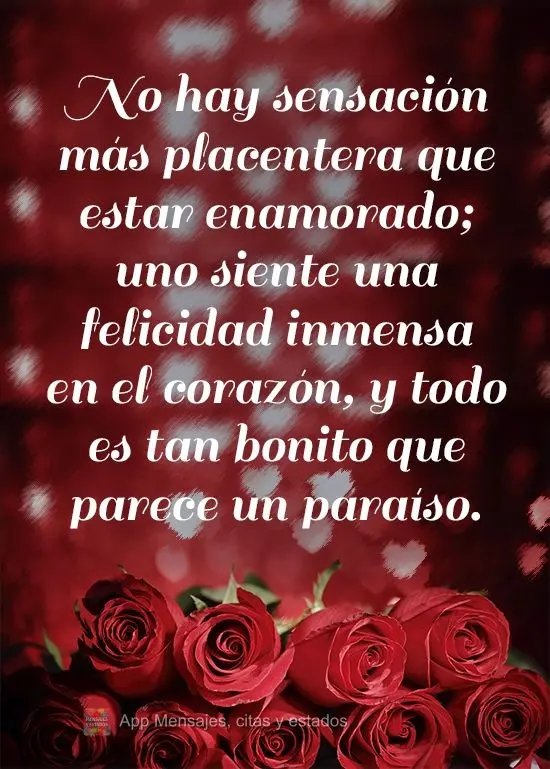 No hay sensación más placentera que estar enamorado; uno siente una felicidad inmensa en el corazón, y todo es tan bonito que parece un paraíso.