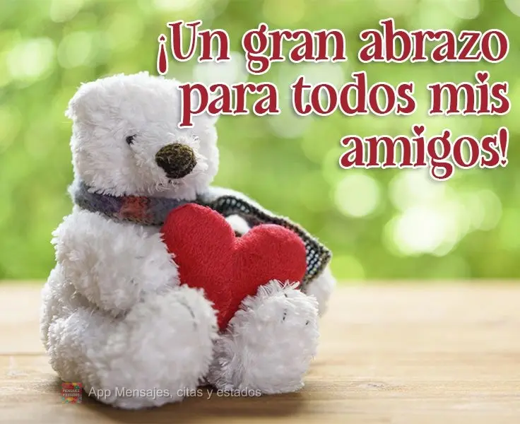 ¡Un gran abrazo para todos mis amigos!