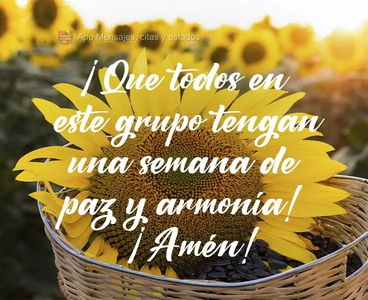 Que a semana seja de paz e harmonia nesse grupo! Amém!
