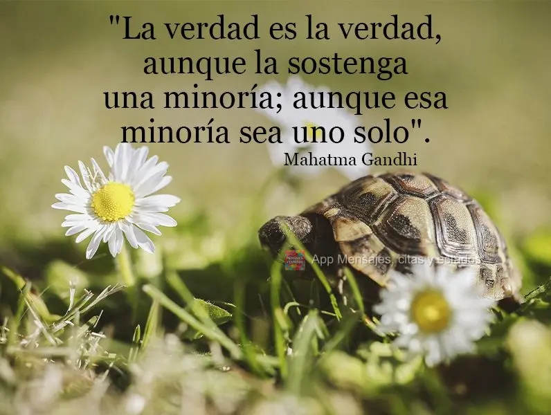 Mesmo que você ainda esteja em uma minoria, a verdade ainda é a verdade. Mahatma Gandhi