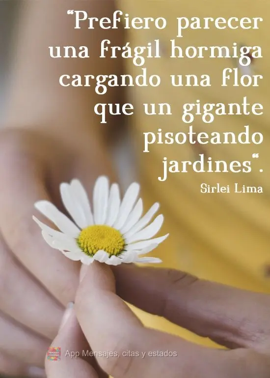 "Prefiero parecer una frágil hormiga cargando una flor que un gigante pisoteando jardines".  Sirlei Lima