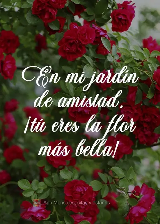 En mi jardín de amistad, ¡tú eres la flor más bella!