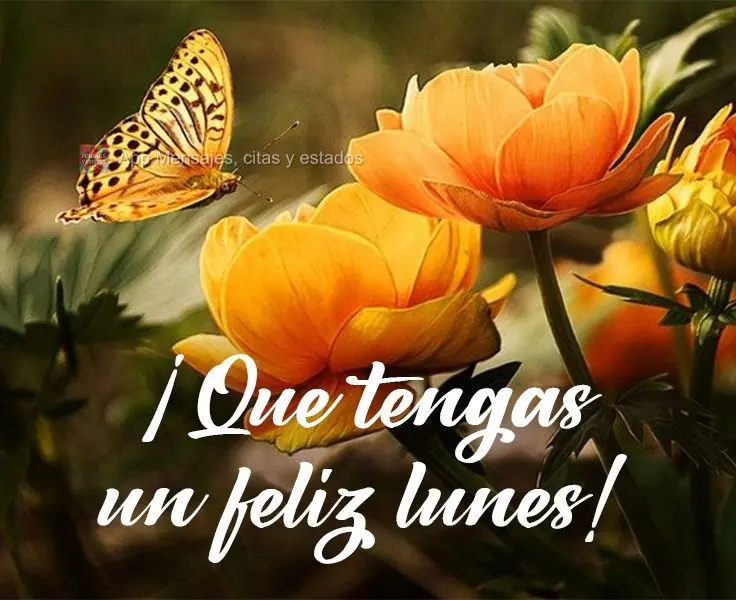 ¡Que tengas un feliz lunes!
