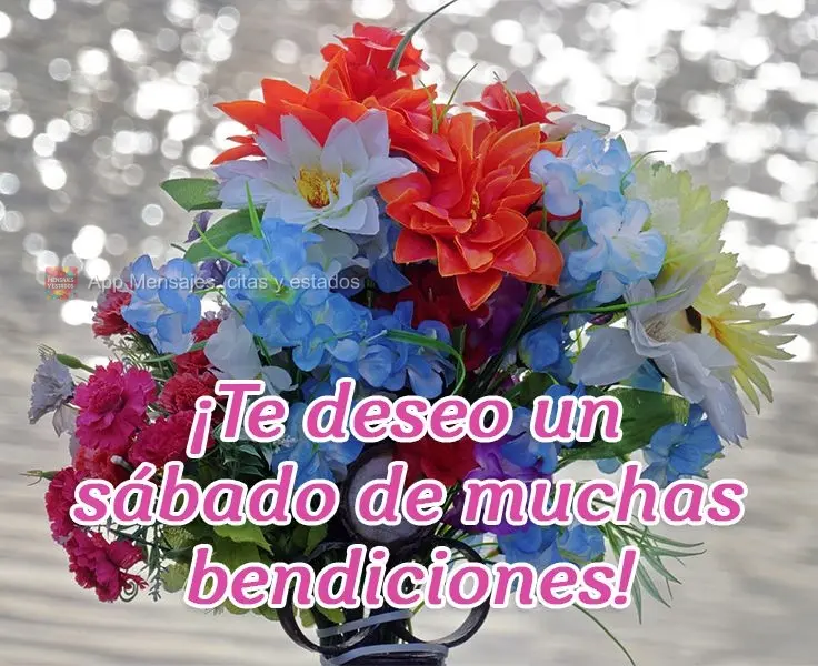¡Te deseo un sábado de muchas bendiciones!