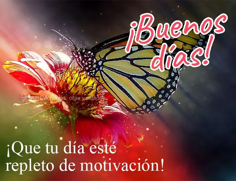 Que seu dia seja repleto de motivação!  Bom dia! 