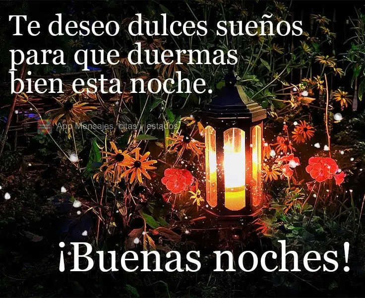 Te deseo dulces sueños para que duermas bien esta noche. ¡Buenas noches!