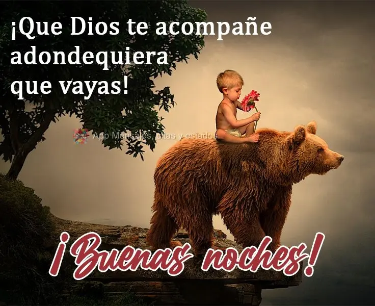 ¡Que Dios te acompañe adondequiera que vayas! ¡Buenas noches!