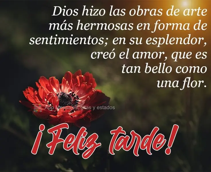 Dios hizo las obras de arte más hermosas en forma de sentimientos; en su esplendor, creó el amor, que es tan bello como una flor. ¡Feliz tarde!
