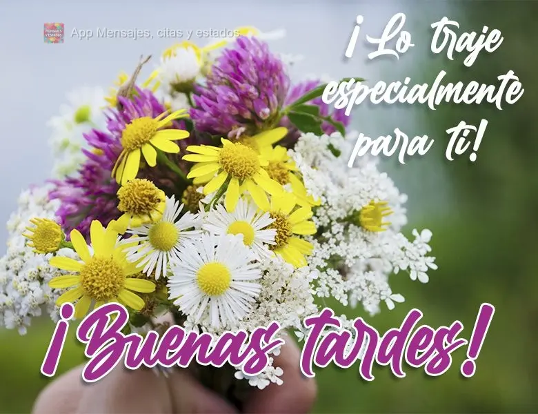 Trouxe especialmente para você! 
 Boa tarde!