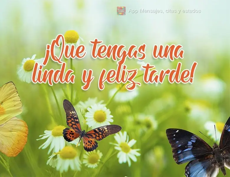 Tenha uma linda e feliz tarde!
