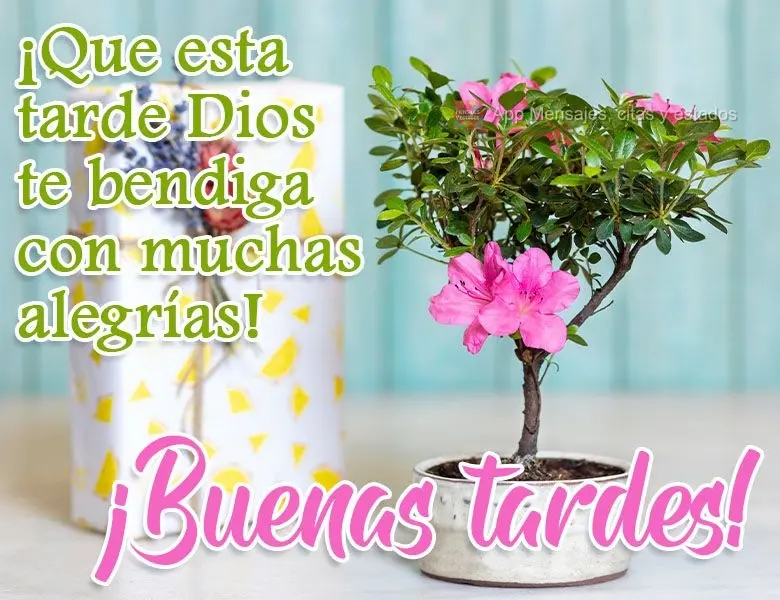 ¡Que esta tarde Dios te bendiga con muchas alegrías! ¡Buenas tardes!