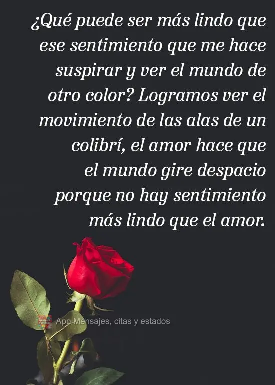 ¿Qué puede ser más lindo que ese sentimiento que me hace suspirar y ver el mundo de otro color? Logramos ver el movimiento de las alas de un colibrí,...