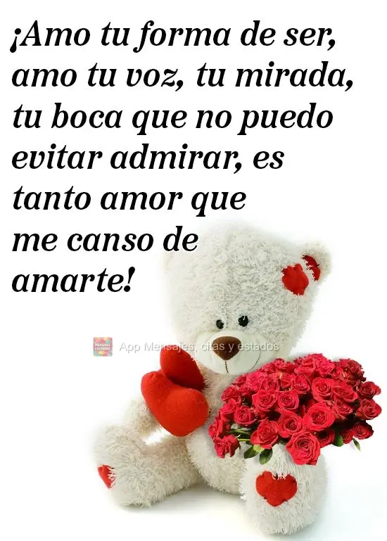 ¡Amo tu forma de ser, amo tu voz, tu mirada, tu boca que no puedo evitar admirar, es tanto amor que me canso de amarte!