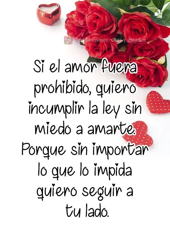 Si el amor fuera prohibido, quiero incumplir la ley sin miedo a amarte. Porque sin importar lo que lo impida quiero seguir a tu lado.