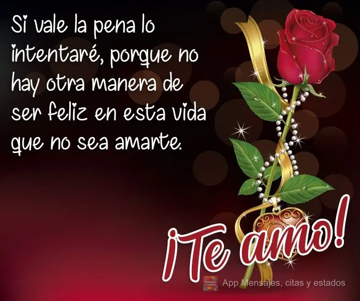 Si vale la pena lo intentaré, porque no hay otra manera de ser feliz en esta vida que no sea amarte. ¡Te amo!
