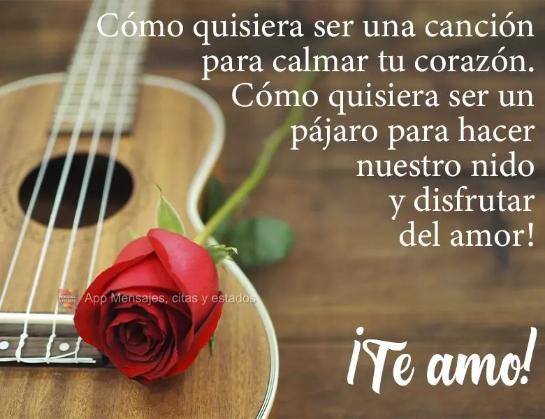 Cómo quisiera ser una canción para calmar tu corazón. Cómo quisiera ser un pájaro para hacer nuestro nido y disfrutar del amor. ¡Te amo!