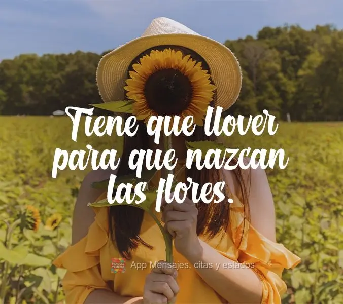 É preciso chover para nascerem flores!
