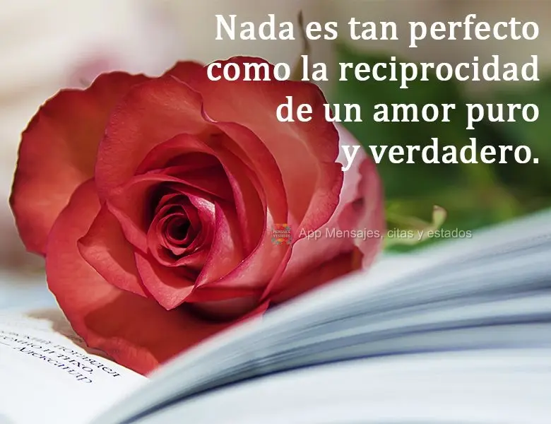 Nada é mais perfeito que a reciprocidade de um amor puro e verdadeiro!

