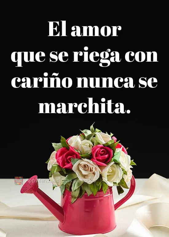 El amor que se riega con cariño nunca se marchita.