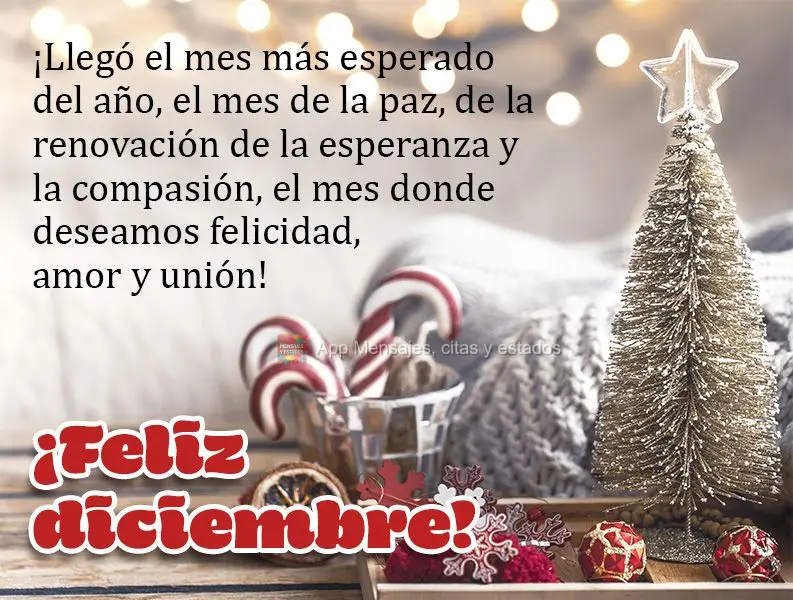 Chegou o mês mais esperado do ano... o mês de paz e renovação de esperança e compaixão, o mês que a gente deseja felicidade por amor e união!  Fe...