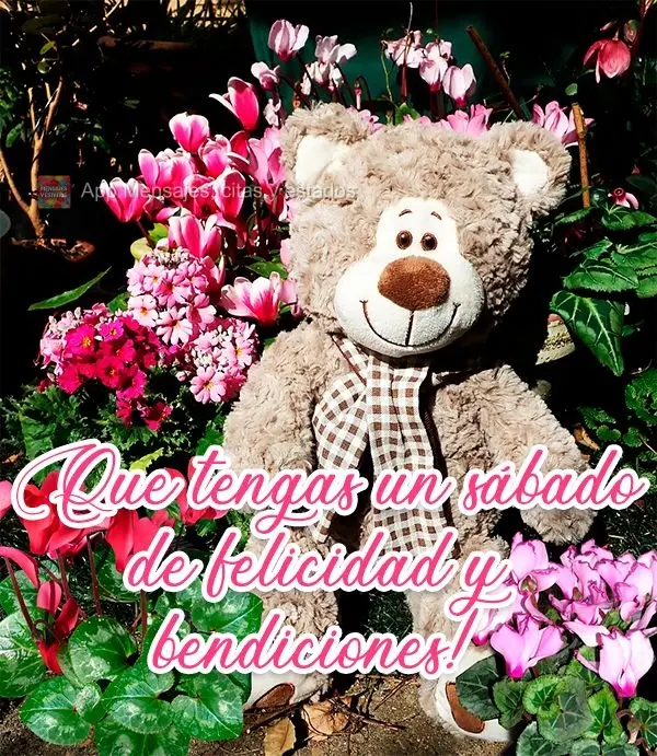 Tenha um Feliz e abençoado Sábado!