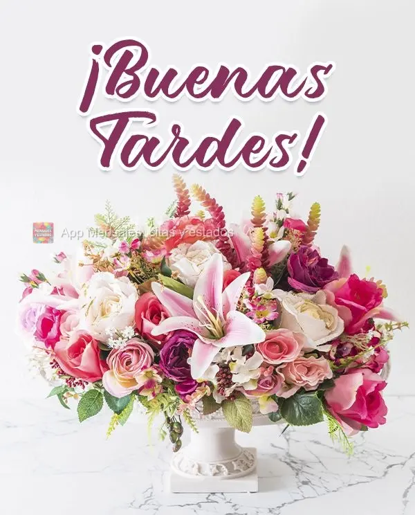 ¡Buenas tardes!